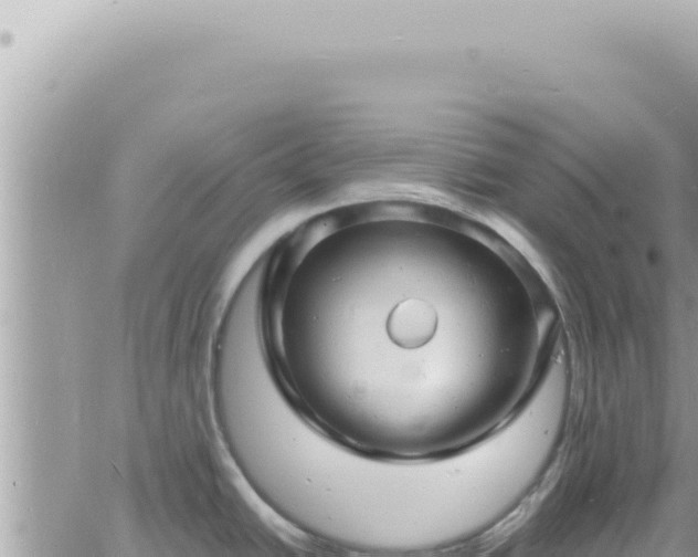 X0000060771438200511171202