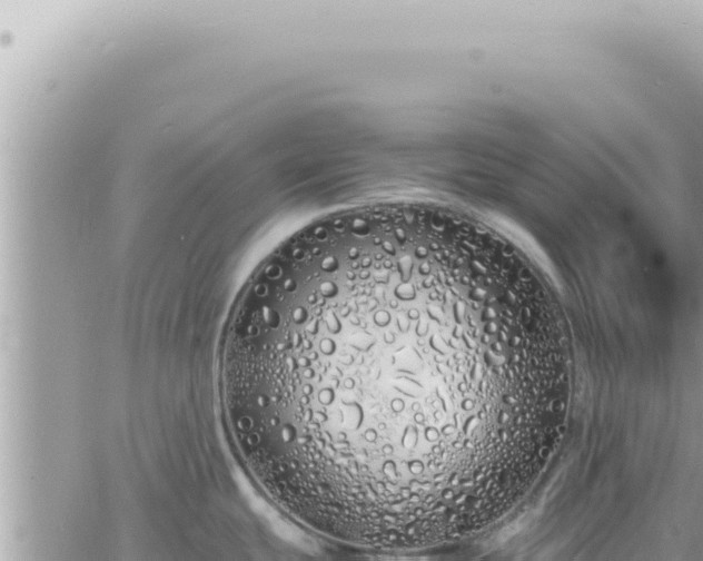 X0000060771439200511171202