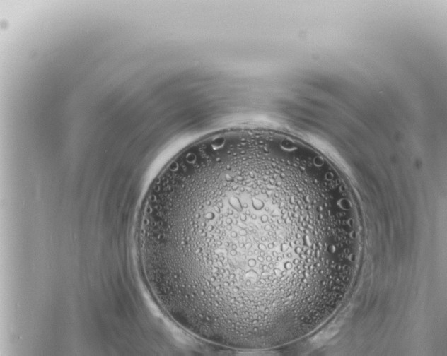 X0000060771440200511171202