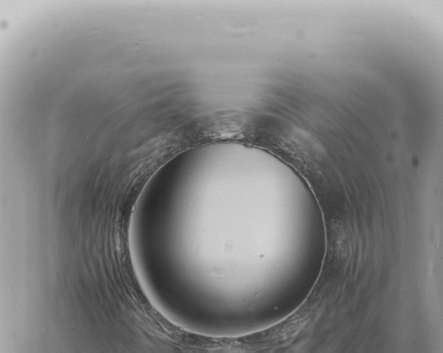 X0000060771442200511171201