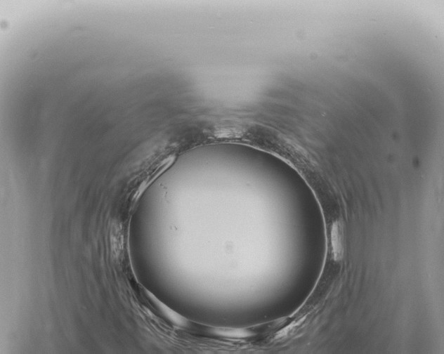 X0000060771443200511171201