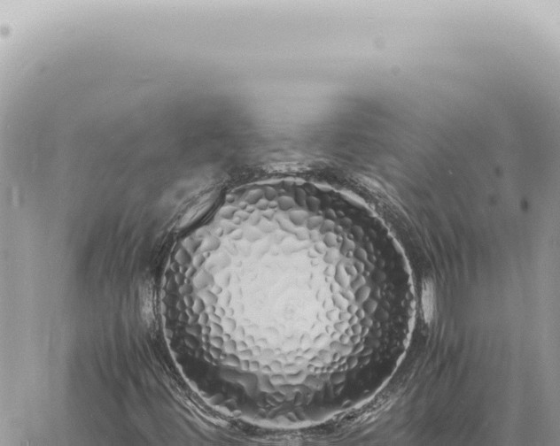 X0000060771444200511171201