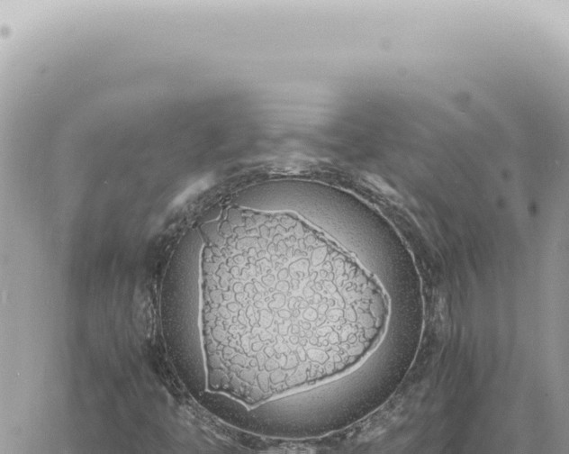 X0000060771446200511171201