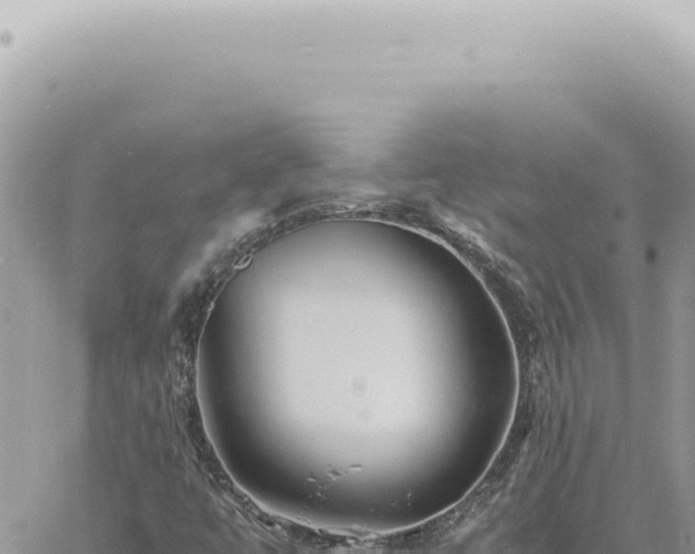 X0000060771447200511171201