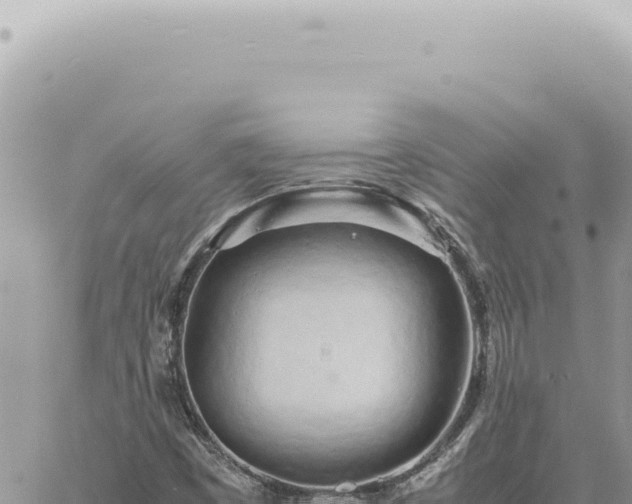 X0000060771449200511171201