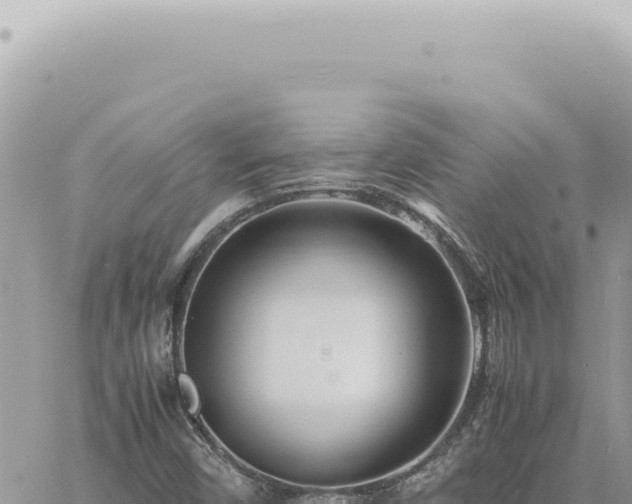 X0000060771450200511171201