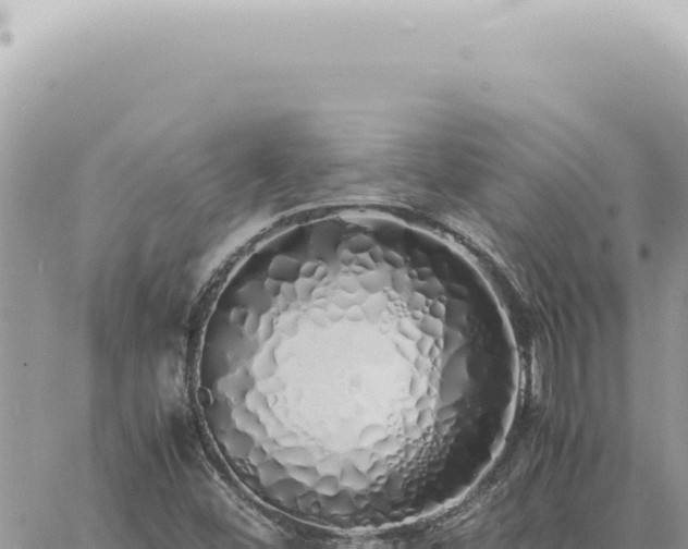 X0000060771452200511171201