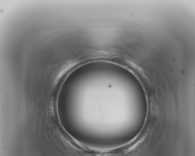 X0000060771453200511171201