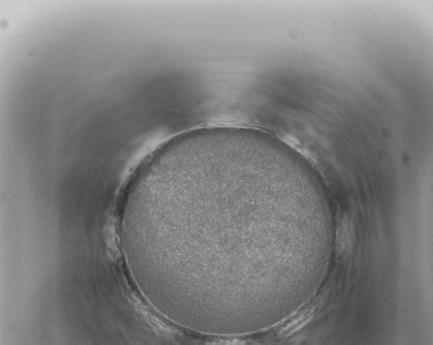 X0000060771454200511171201