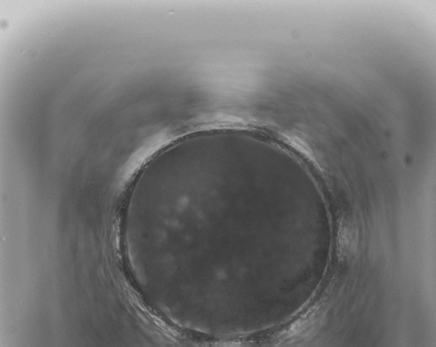 X0000060771455200511171201