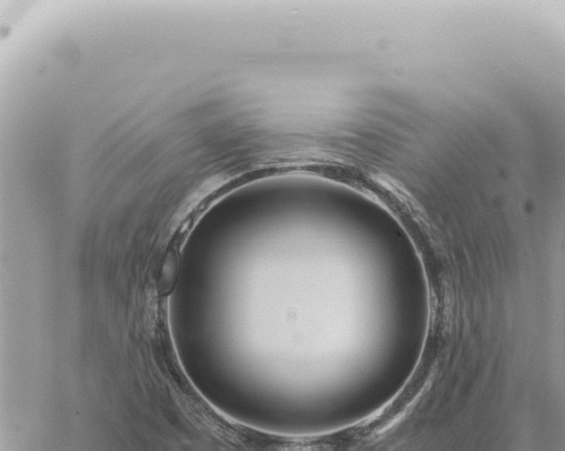 X0000060771457200511171201