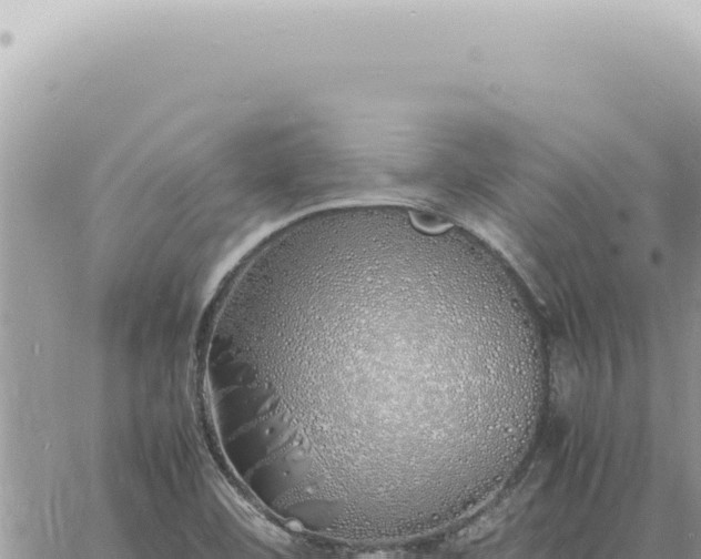 X0000060771460200511171201