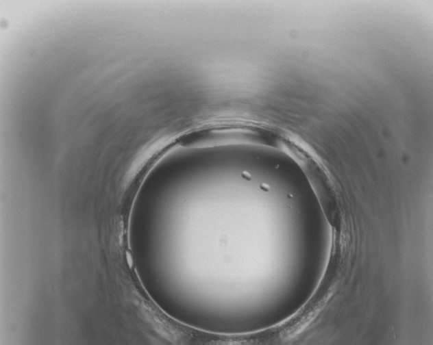 X0000060771461200511171201