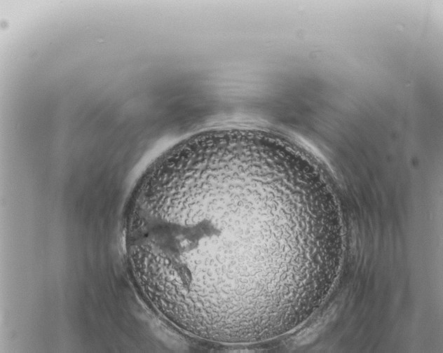 X0000060771462200511171201