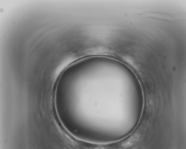 X0000060771463200511171201