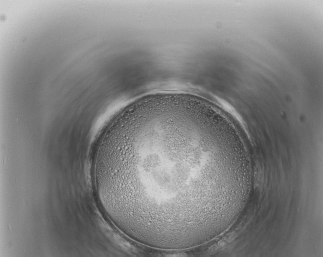 X0000060771464200511171201