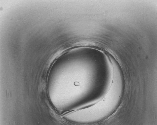 X0000060771465200511171201