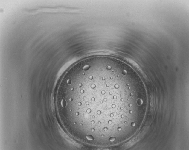 X0000060771466200511171201