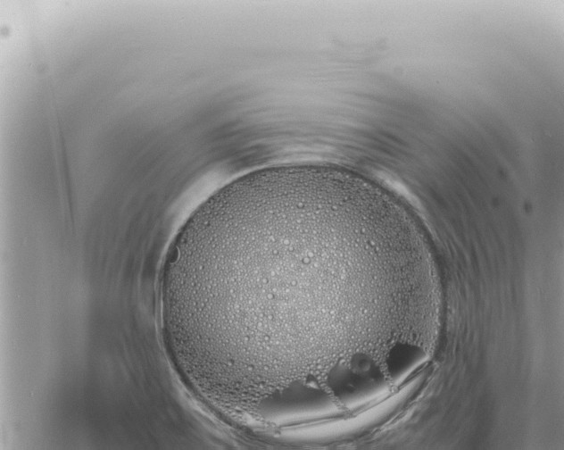 X0000060771467200511171201