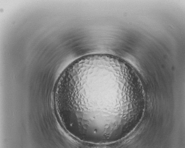 X0000060771468200511171201