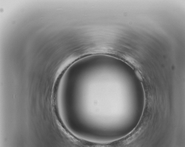 X0000060771469200511171201