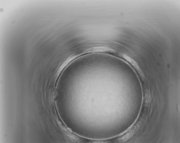 X0000060771473200511171201