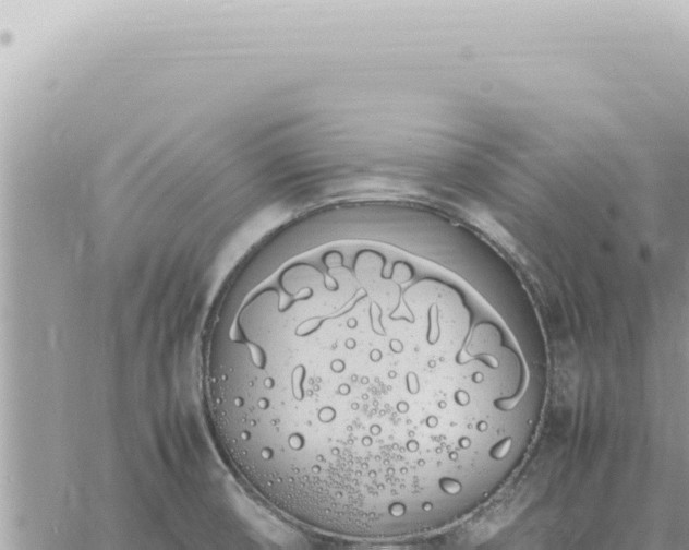 X0000060771474200511171201