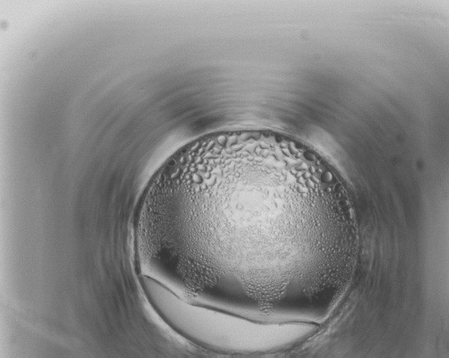 X0000060771476200511171201