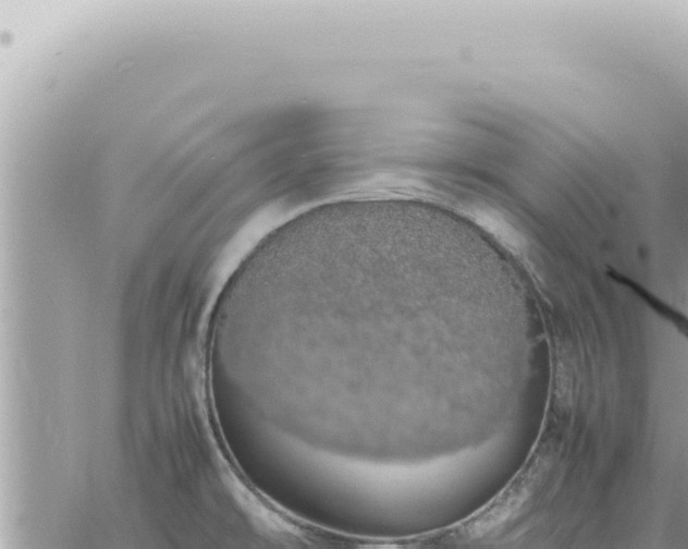 X0000060771478200511171201