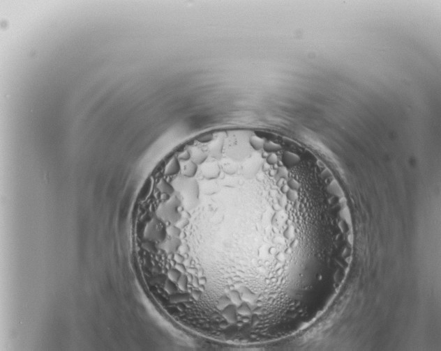 X0000060771479200511171201