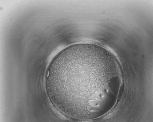 X0000060771480200511171201