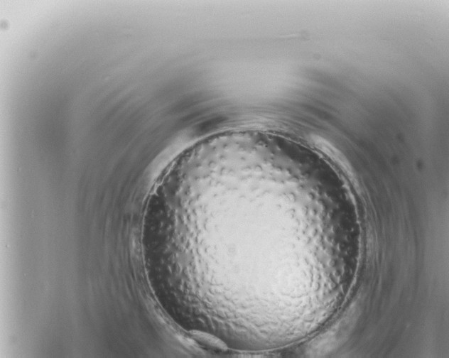 X0000060771481200511171201