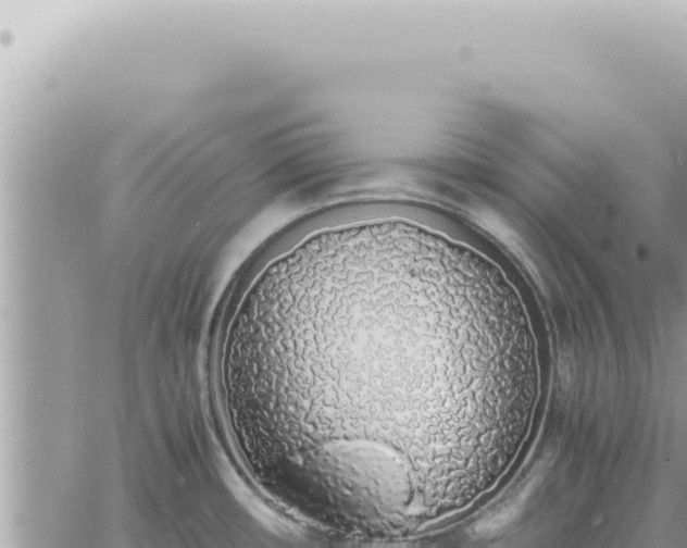 X0000060771482200511171201