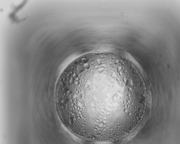 X0000060771487200511171200