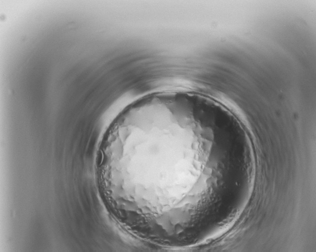 X0000060771488200511171200