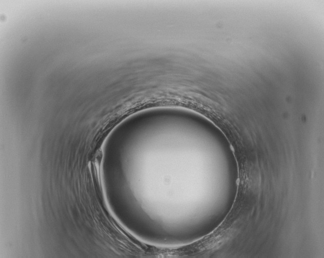 X0000060771490200511171200