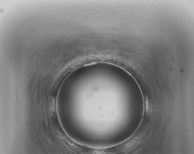 X0000060771492200511171200