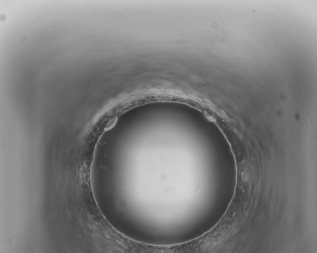 X0000060771495200511171200