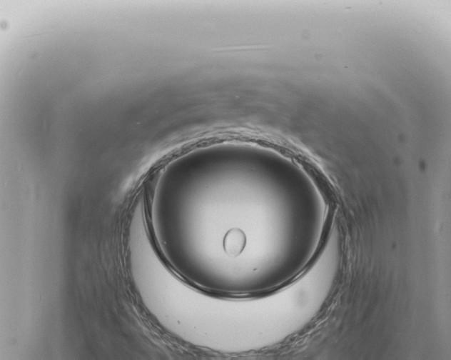 X0000060771496200511171200