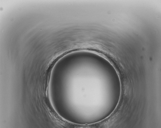 X0000060771497200511171200