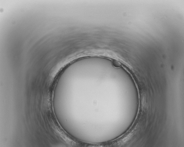 X0000060771498200511171200