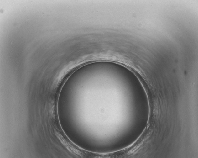 X0000060771499200511171200