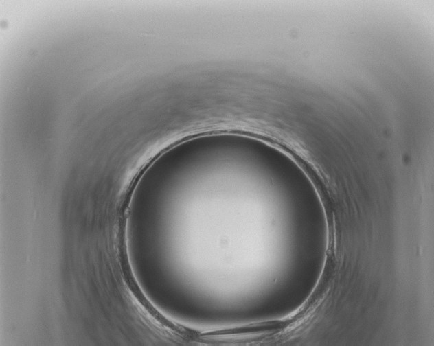 X0000060771500200511171200