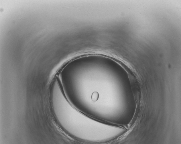 X0000060771502200511171200