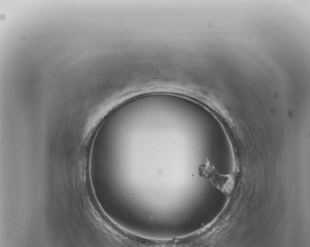 X0000060771504200511171200