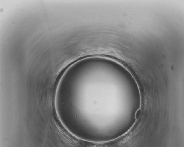 X0000060771505200511171200