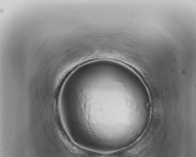 X0000060771507200511171200