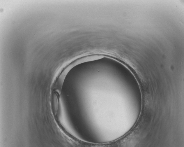 X0000060771508200511171200