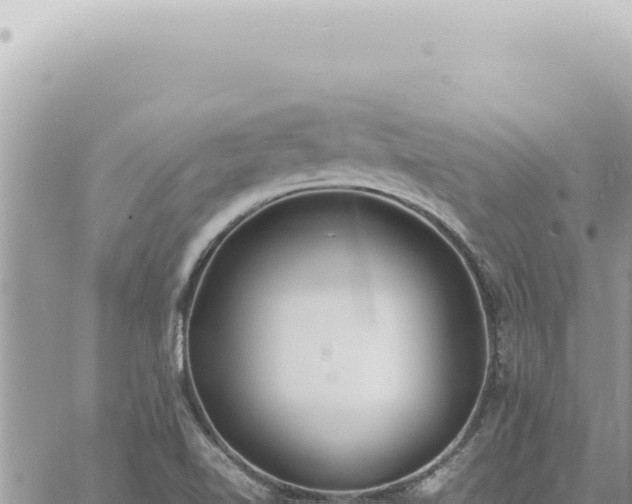 X0000060771510200511171200