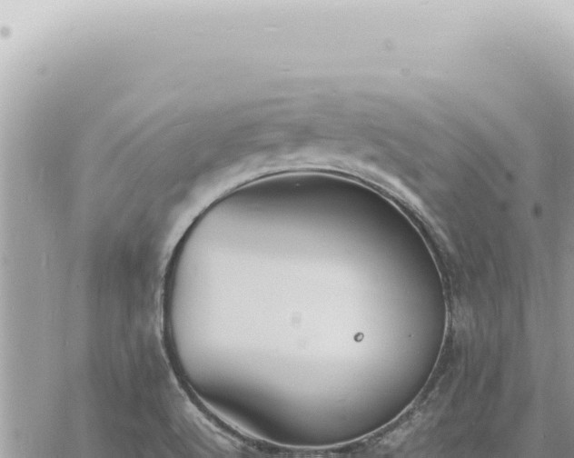 X0000060771512200511171200